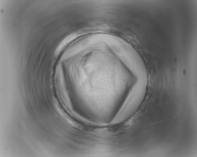 X0000053150054200508012320