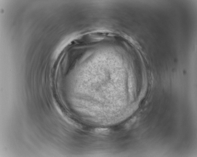 X0000053150055200508012320