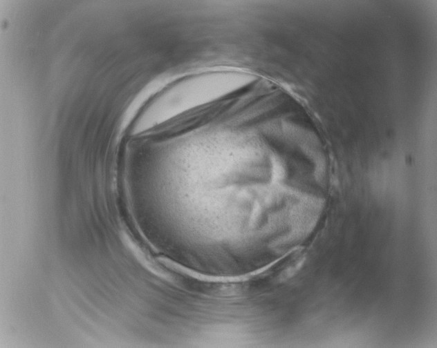 X0000053150056200508012320