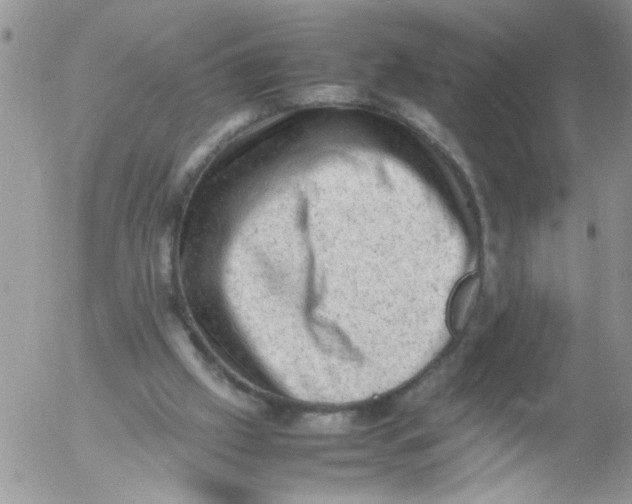 X0000053150057200508012320