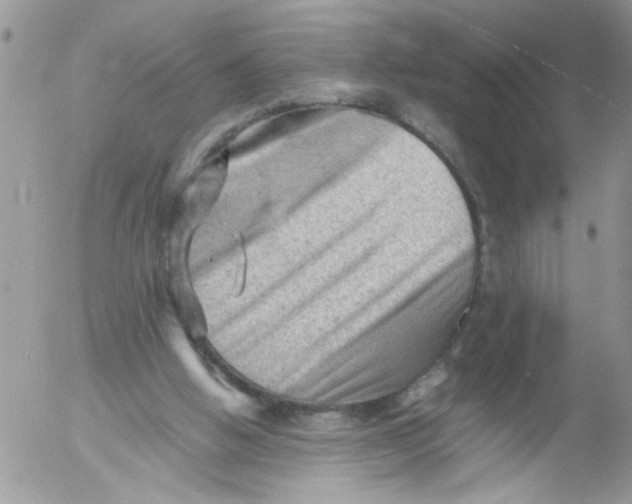 X0000053150058200508012320