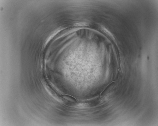 X0000053150059200508012320