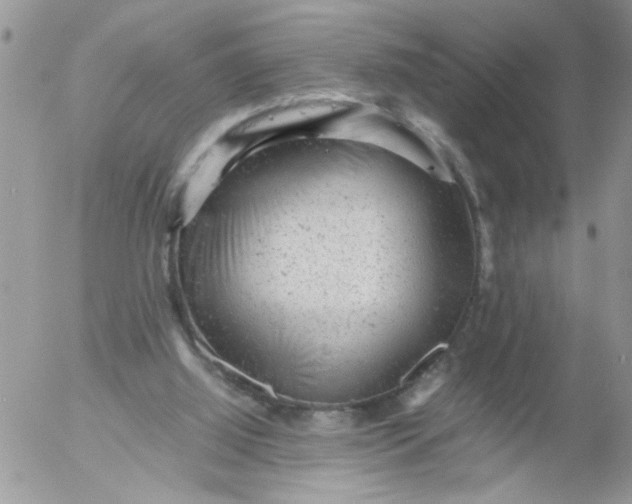 X0000053150060200508012320