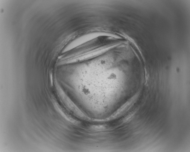 X0000053150061200508012320