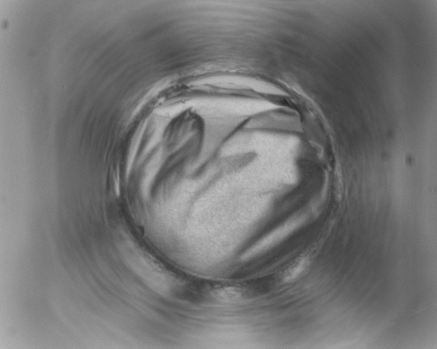 X0000053150062200508012320