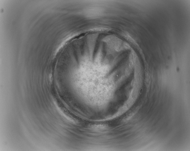 X0000053150063200508012321