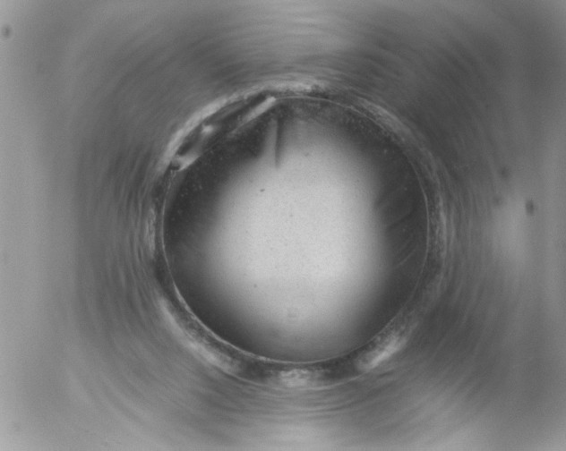 X0000053150064200508012321