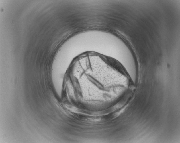 X0000053150065200508012321