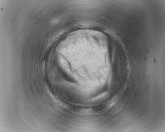 X0000053150066200508012321