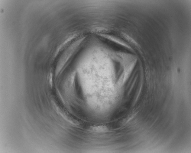 X0000053150067200508012321