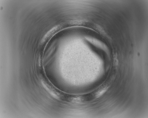 X0000053150068200508012321