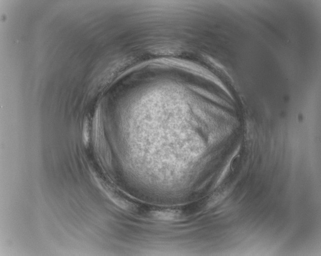 X0000053150069200508012321