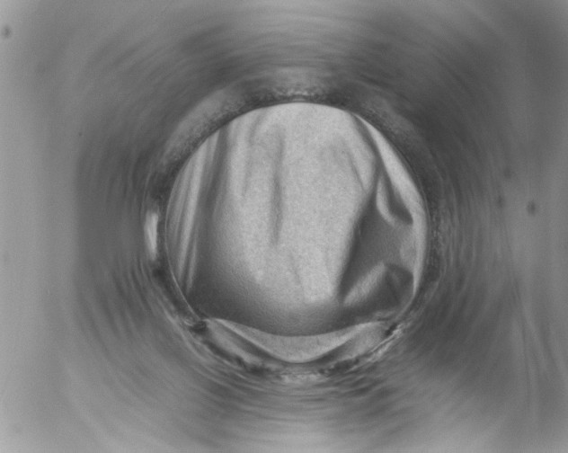 X0000053150070200508012321