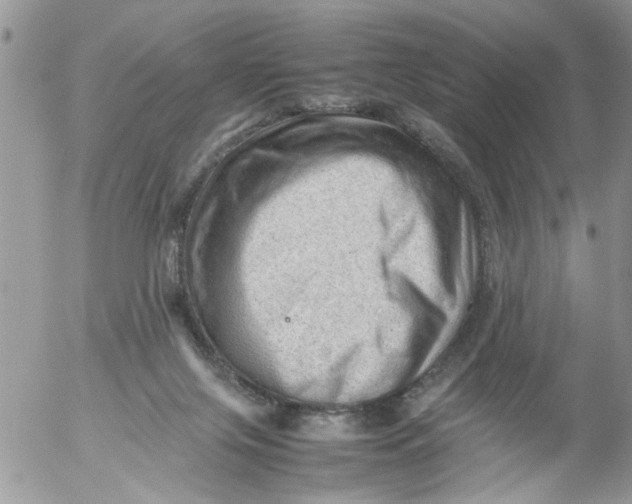 X0000053150071200508012321