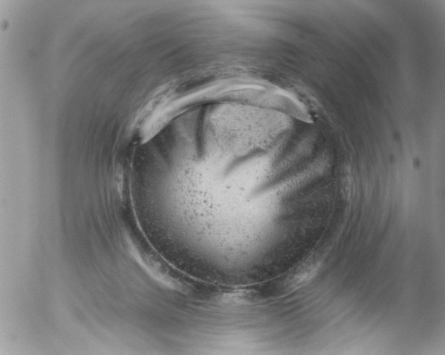 X0000053150072200508012321