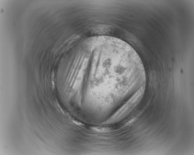 X0000053150073200508012321