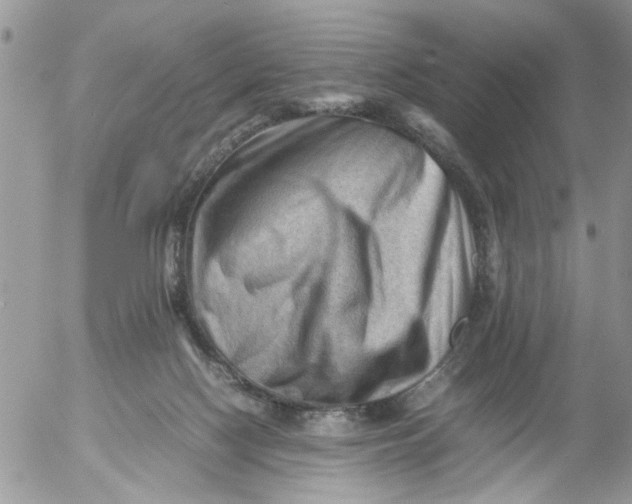 X0000053150074200508012321