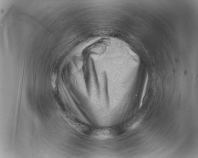 X0000053150075200508012321