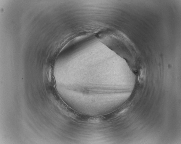 X0000053150076200508012321