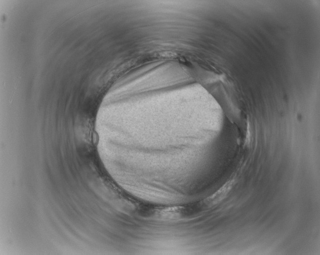 X0000053150078200508012321