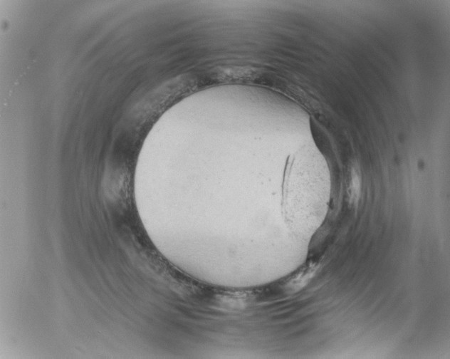 X0000053150079200508012321