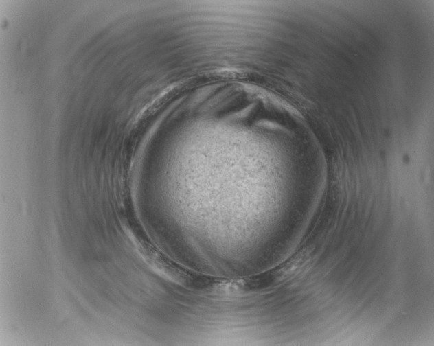 X0000053150080200508012321