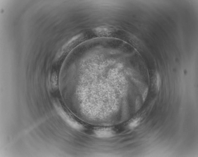 X0000053150081200508012321