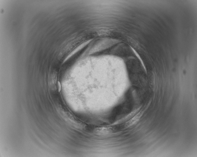 X0000053150082200508012321