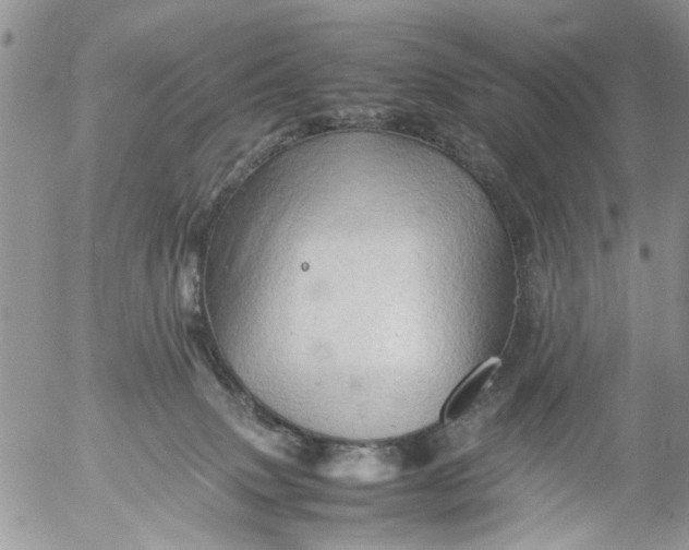 X0000053150083200508012321