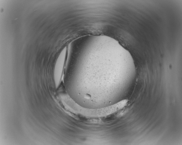 X0000053150084200508012321