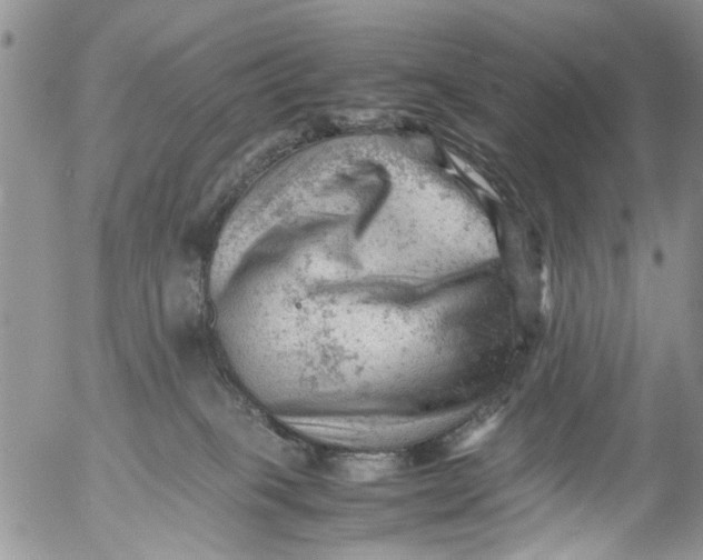 X0000053150085200508012321