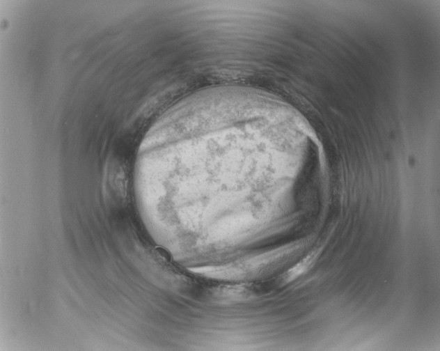 X0000053150086200508012321