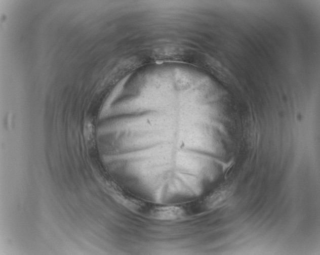 X0000053150087200508012321