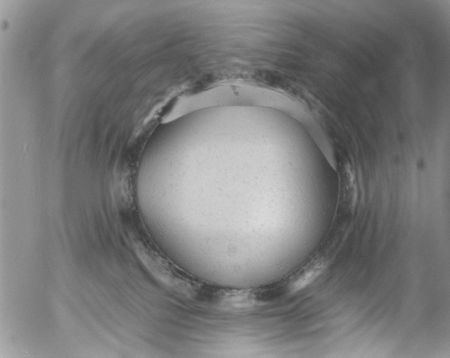 X0000053150088200508012321