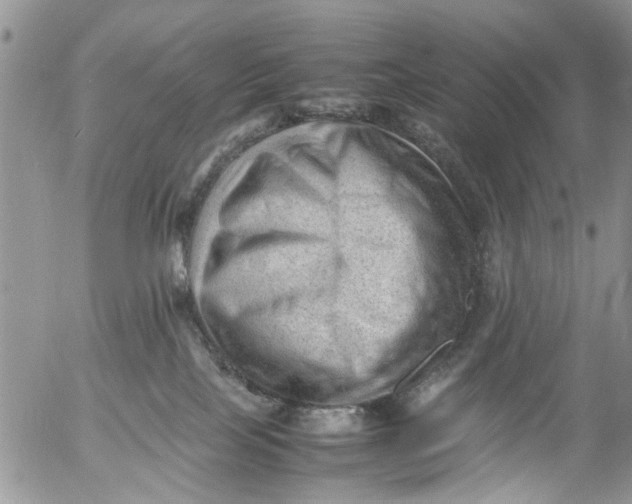 X0000053150089200508012321