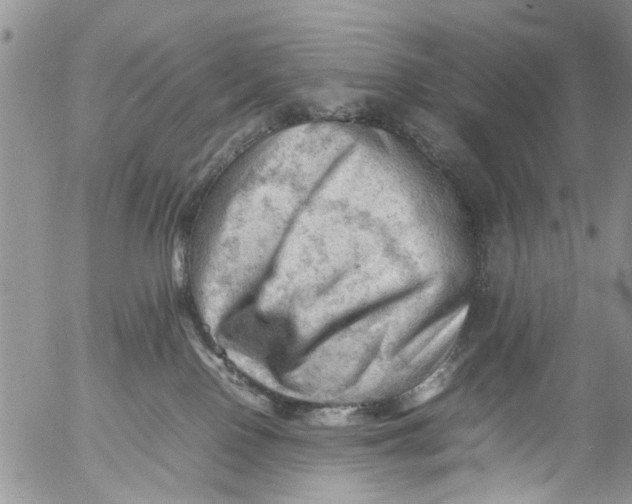 X0000053150090200508012321