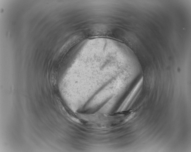 X0000053150091200508012321