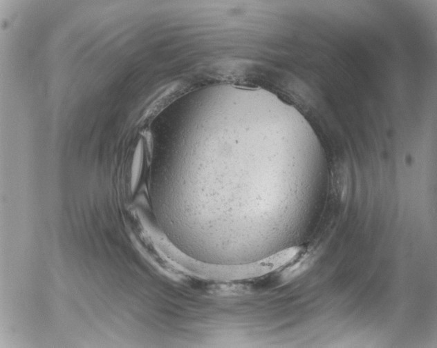 X0000053150092200508012321