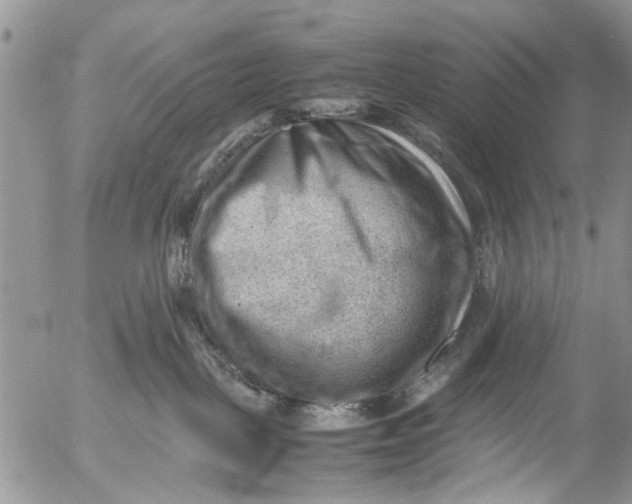 X0000053150093200508012321