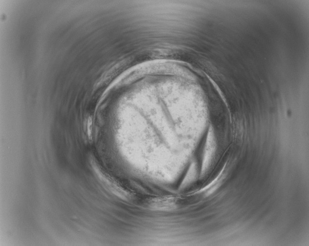 X0000053150094200508012321