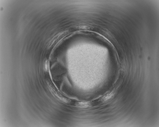 X0000053150095200508012321