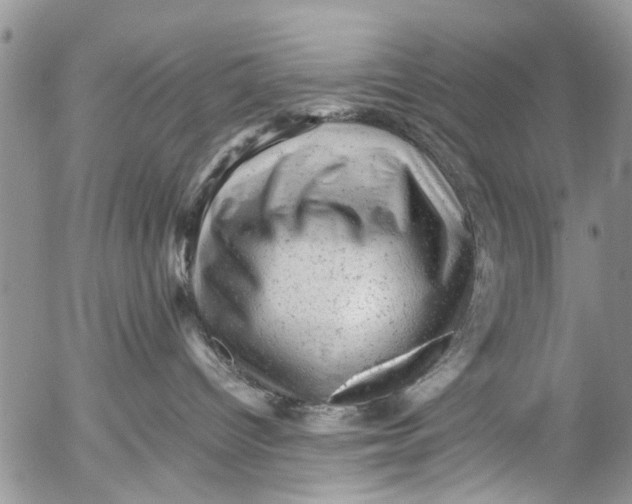 X0000053150096200508012321