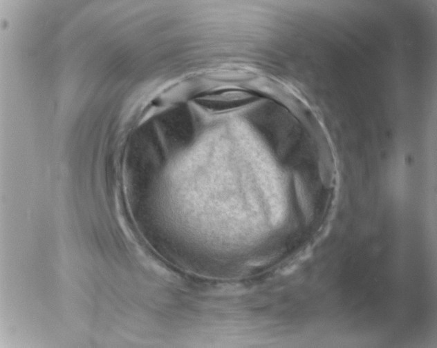 X0000053150097200508012320