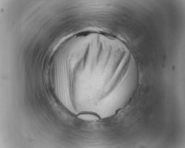 X0000053150098200508012320