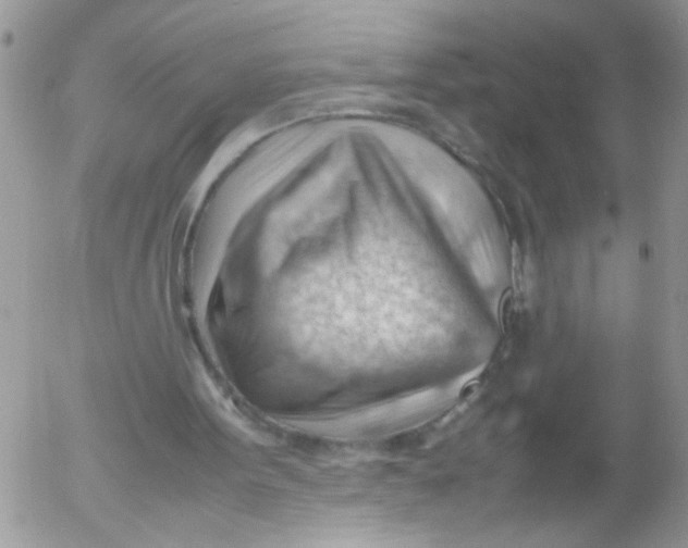 X0000053150099200508012320