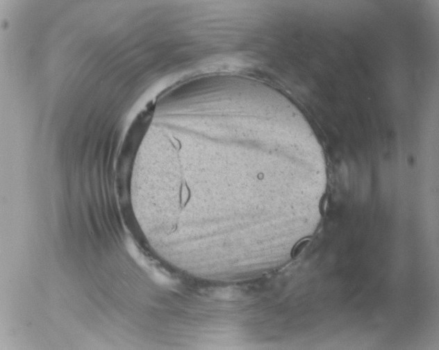 X0000053150100200508012320