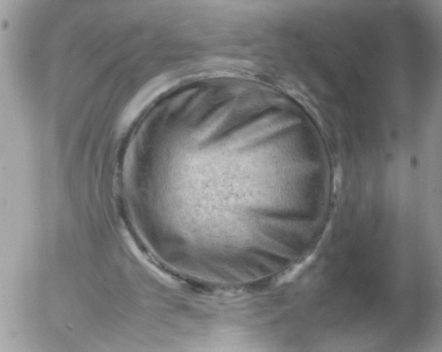 X0000053150101200508012320