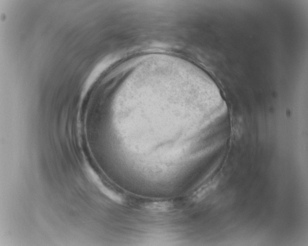 X0000053150102200508012320