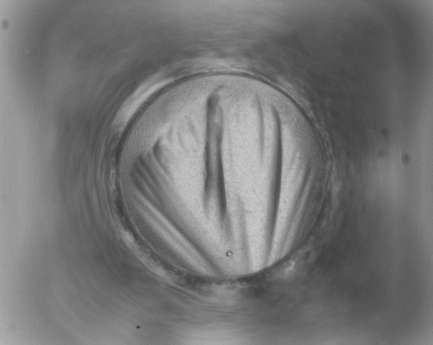 X0000053150103200508012320