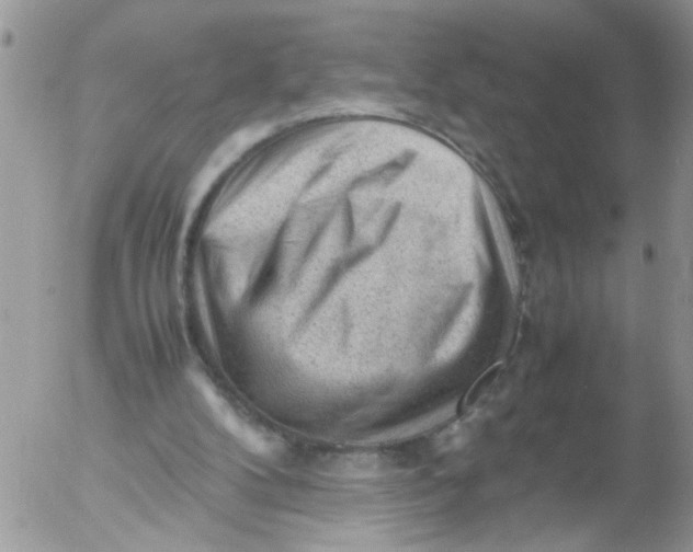 X0000053150104200508012320